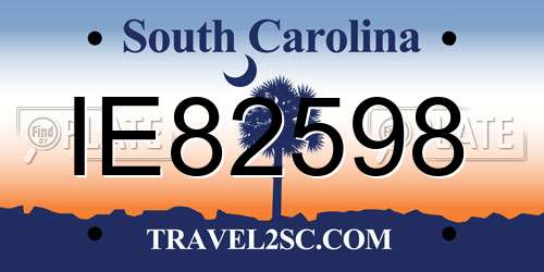 IE82598 South Carolina License Plate
