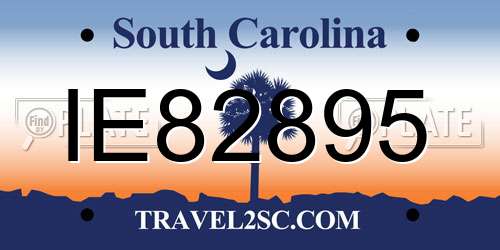 IE82895 South Carolina License Plate