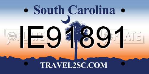 IE91891 South Carolina License Plate