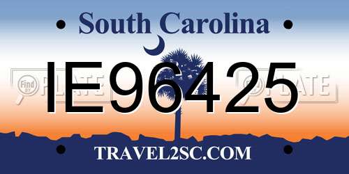 IE96425 South Carolina License Plate