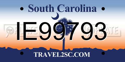 IE99793 South Carolina License Plate