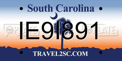 IE9I891 South Carolina License Plate