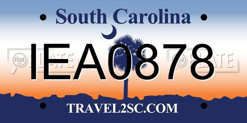 IEA0878 South Carolina License Plate