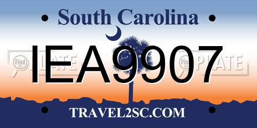 IEA9907 South Carolina License Plate