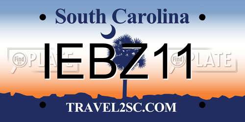 IEBZ11 South Carolina License Plate