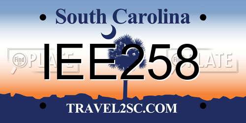 IEE258 South Carolina License Plate