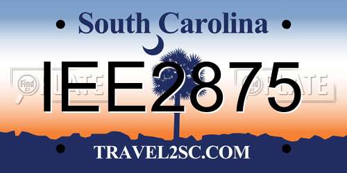 IEE2875 South Carolina License Plate