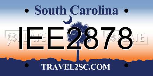 IEE2878 South Carolina License Plate