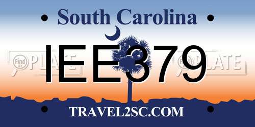 IEE379 South Carolina License Plate