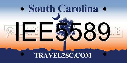 IEE5589 South Carolina License Plate