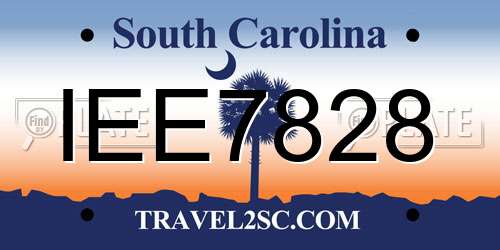 IEE7828 South Carolina License Plate