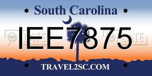 IEE7875 South Carolina License Plate