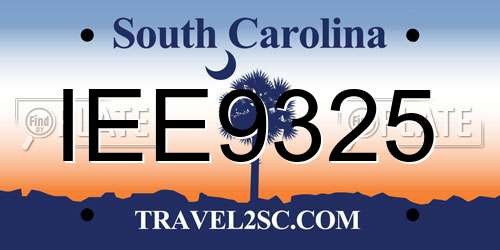 IEE9325 South Carolina License Plate