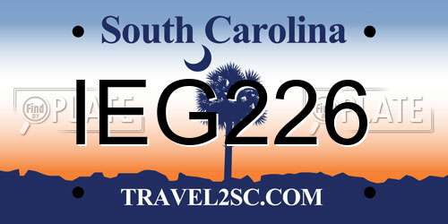 IEG226 South Carolina License Plate