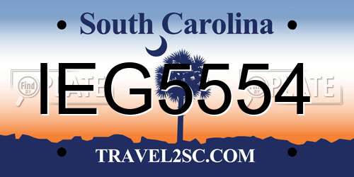 IEG5554 South Carolina License Plate