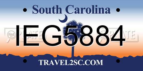 IEG5884 South Carolina License Plate