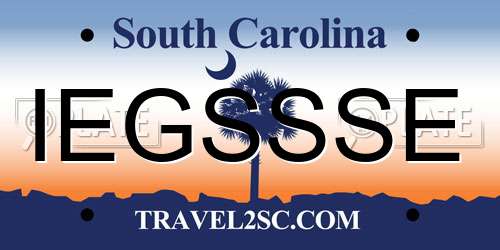 IEGSSSE South Carolina License Plate