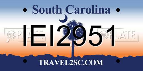 IEI2951 South Carolina License Plate
