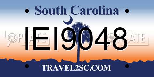 IEI9048 South Carolina License Plate