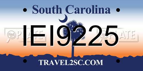 IEI9225 South Carolina License Plate