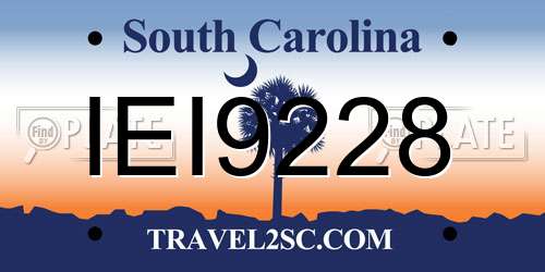 IEI9228 South Carolina License Plate