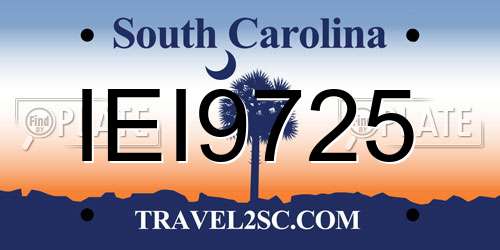 IEI9725 South Carolina License Plate