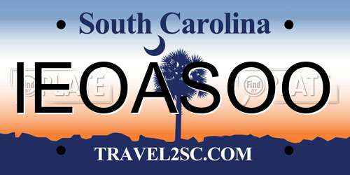 IEOASOO South Carolina License Plate
