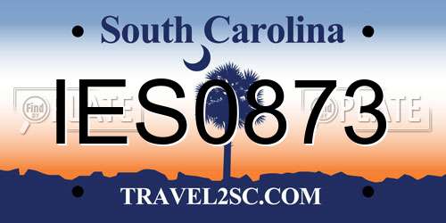IES0873 South Carolina License Plate