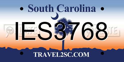 IES3768 South Carolina License Plate