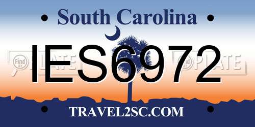 IES6972 South Carolina License Plate