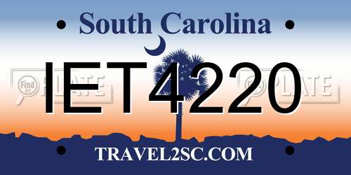 IET4220 South Carolina License Plate
