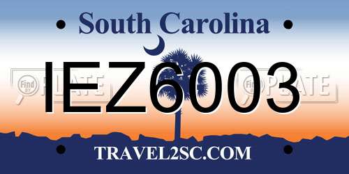 IEZ6003 South Carolina License Plate
