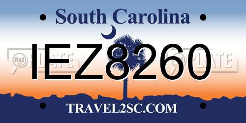 IEZ8260 South Carolina License Plate