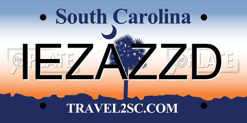 IEZAZZD South Carolina License Plate