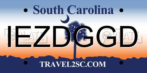 IEZDGGD South Carolina License Plate