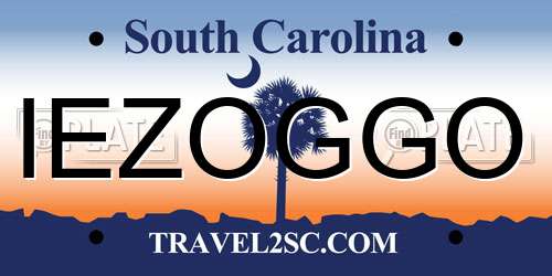 IEZOGGO South Carolina License Plate
