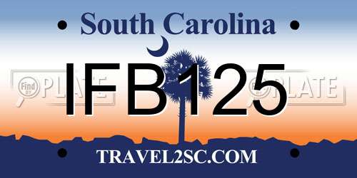 IFB125 South Carolina License Plate