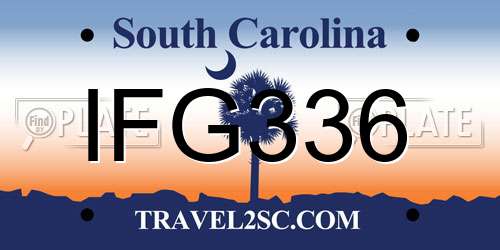IFG336 South Carolina License Plate
