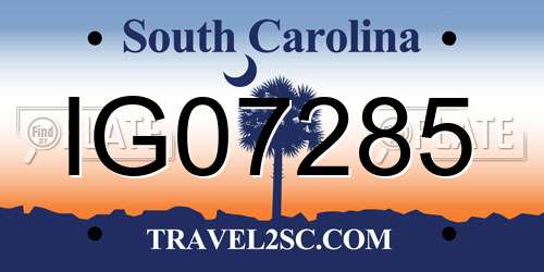 IG07285 South Carolina License Plate