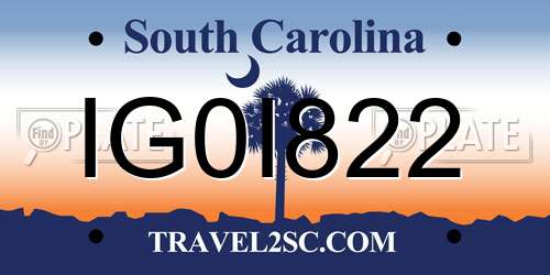 IG0I822 South Carolina License Plate
