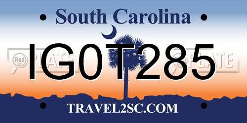 IG0T285 South Carolina License Plate