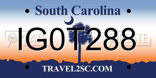 IG0T288 South Carolina License Plate