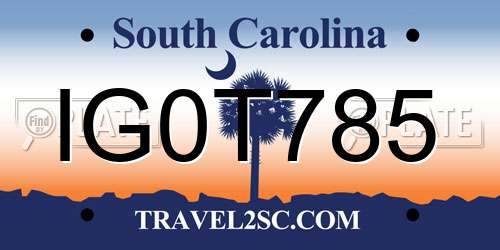 IG0T785 South Carolina License Plate