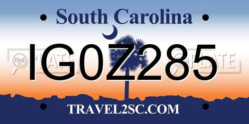 IG0Z285 South Carolina License Plate