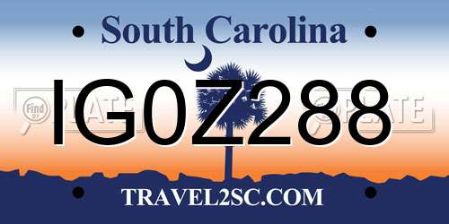 IG0Z288 South Carolina License Plate