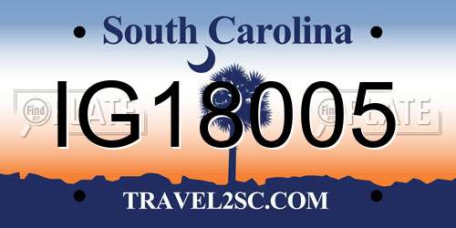 IG18005 South Carolina License Plate
