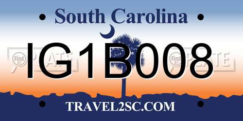 IG1B008 South Carolina License Plate
