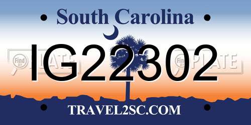 IG22302 South Carolina License Plate