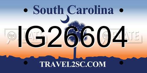IG26604 South Carolina License Plate