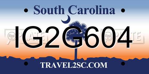 IG2G604 South Carolina License Plate